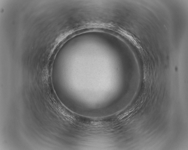 X0000059221264200510141003