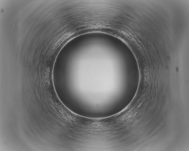X0000059221265200510141003