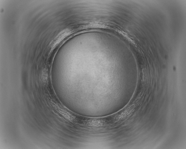 X0000059221266200510141003