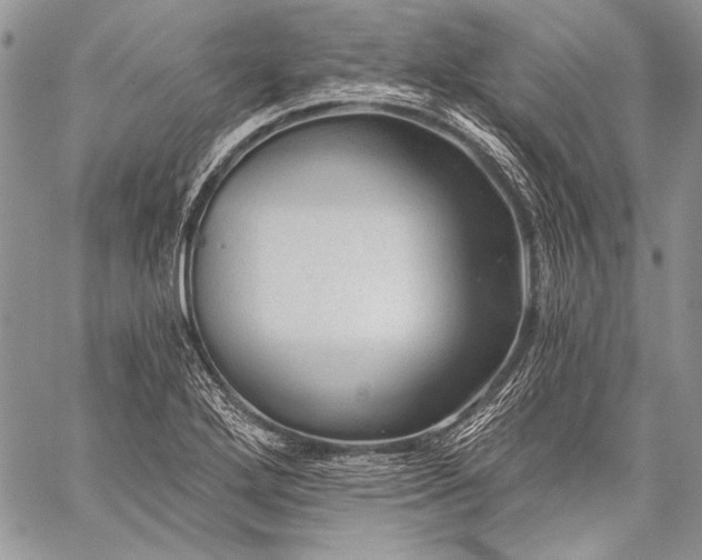 X0000059221272200510141003