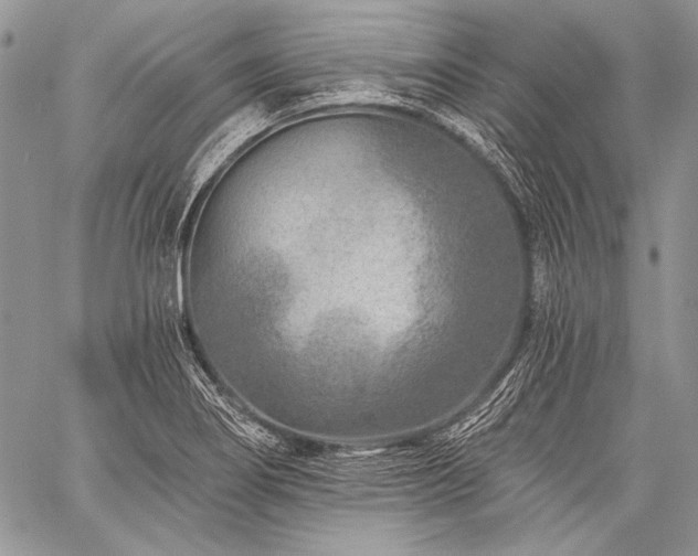 X0000059221274200510141003