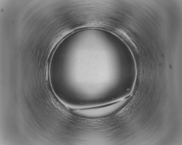 X0000059221276200510141003