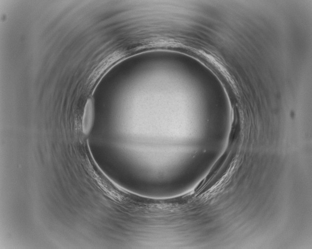 X0000059221281200510141003