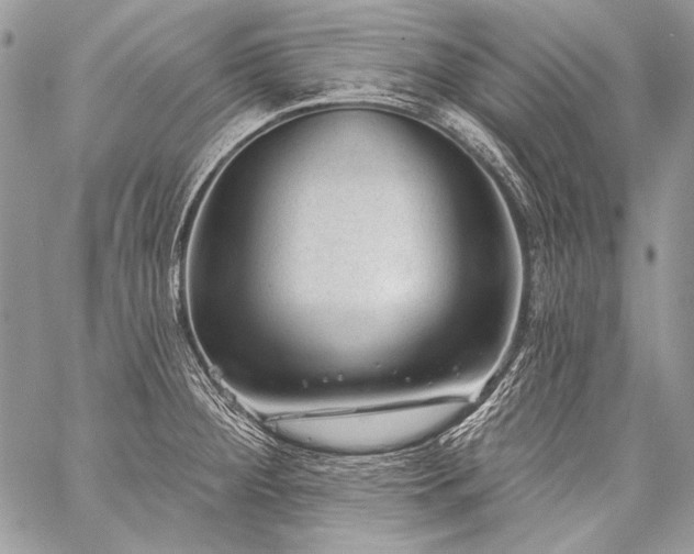 X0000059221284200510141003