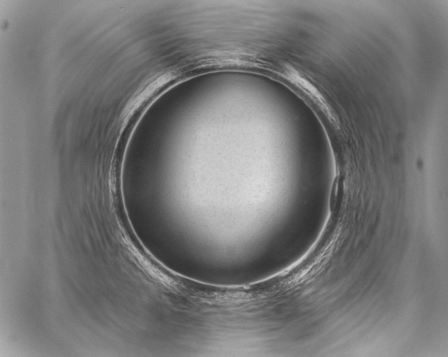 X0000059221285200510141003
