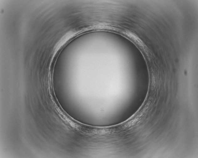 X0000059221286200510141003