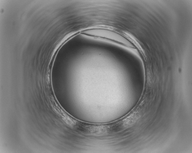 X0000059221292200510141003