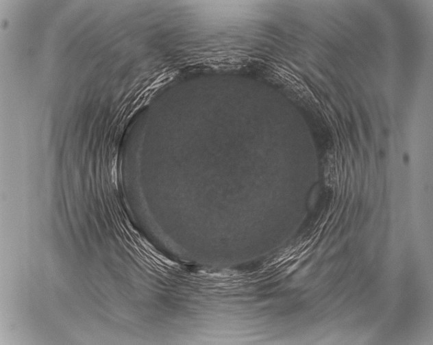 X0000059221298200510141002