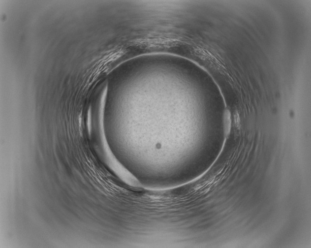 X0000059221300200510141002