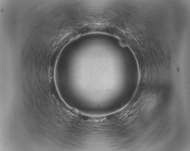X0000059221301200510141002