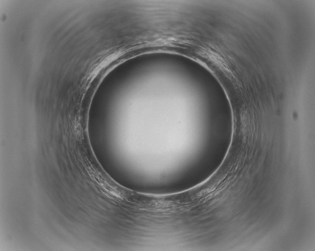 X0000059221308200510141002