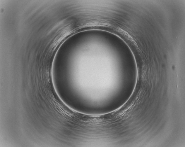 X0000059221321200510141002