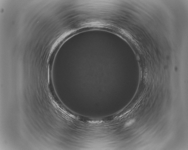 X0000059221323200510141002