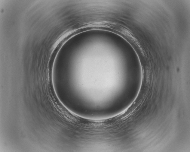 X0000059221328200510141002