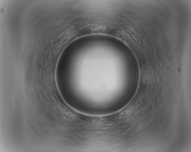 X0000059221345200510141002