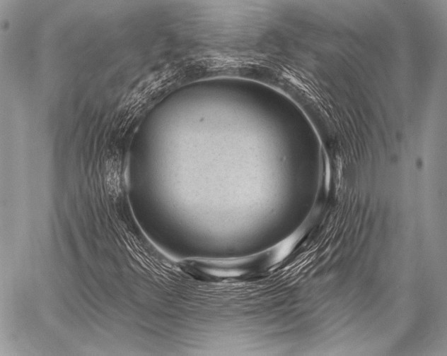 X0000059221348200510141002