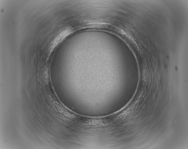 X0000059221362200510141002