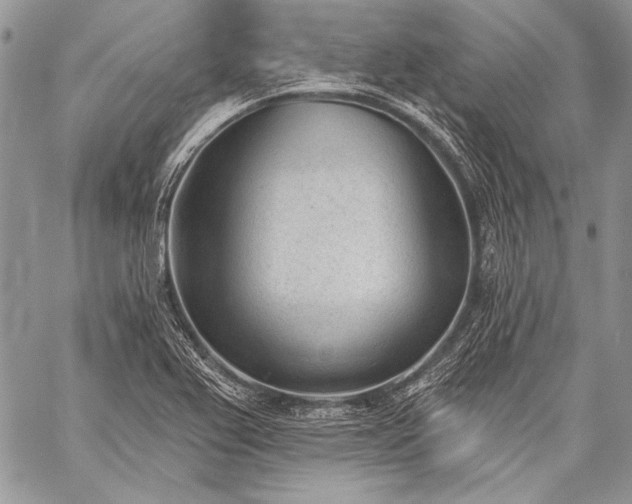 X0000059221367200510141001