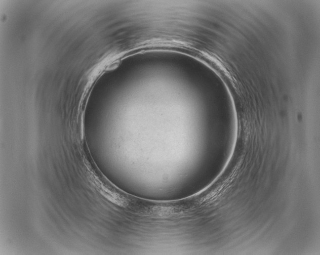 X0000059221371200510141001