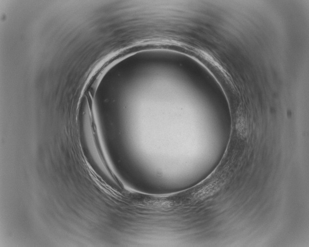 X0000059221372200510141001