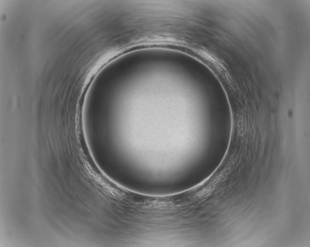 X0000059221374200510141001