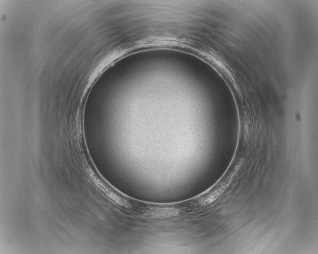 X0000059221382200510141001