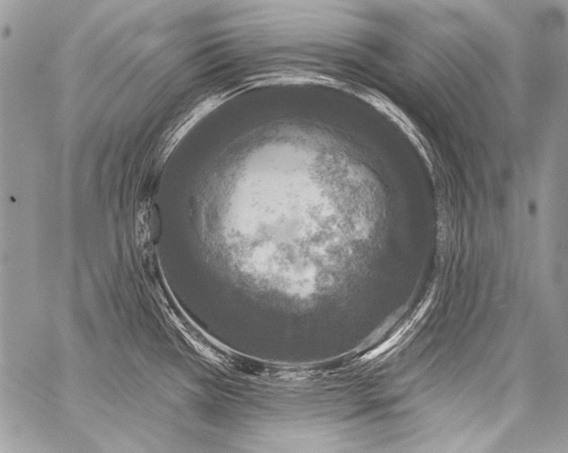 X0000059221385200510141001