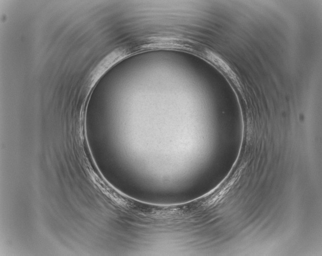 X0000059221386200510141001