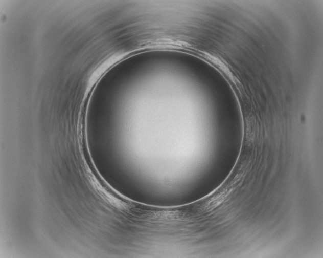 X0000059221387200510141001
