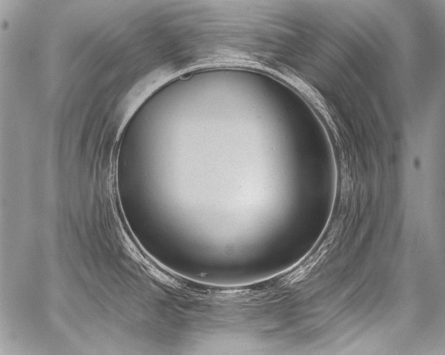 X0000059221390200510141001