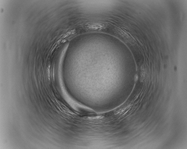 X0000059221394200510141000