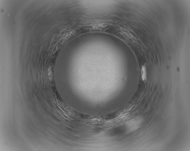 X0000059221395200510141000