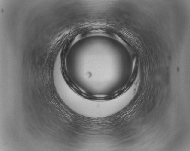X0000059221398200510141000