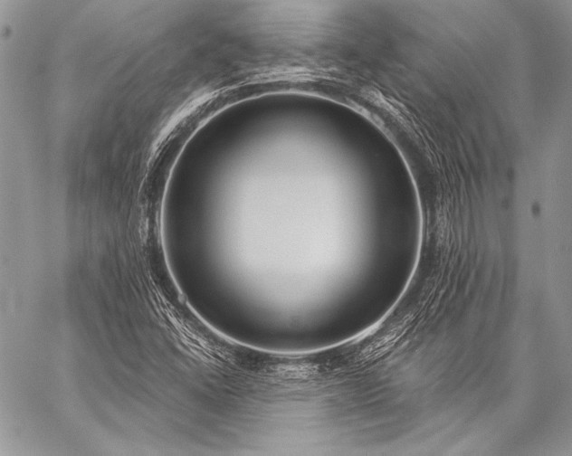X0000059221406200510141000
