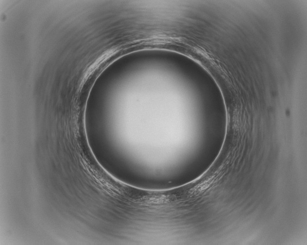 X0000059221410200510141001