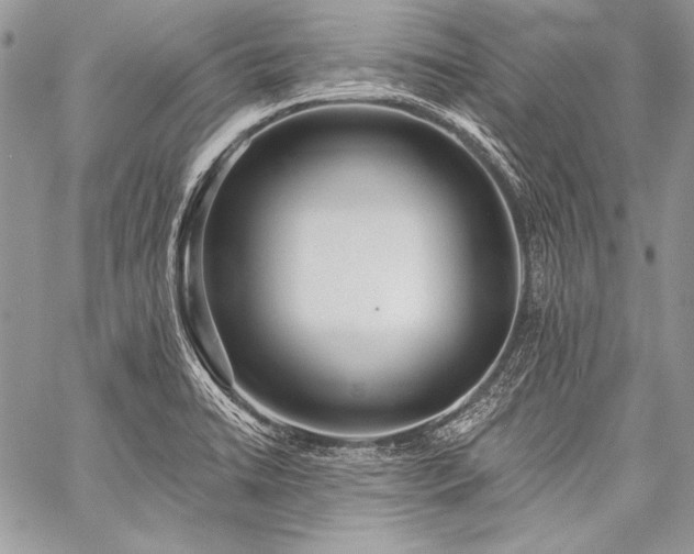 X0000059221422200510141001