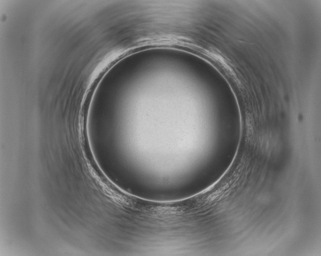 X0000059221424200510141001