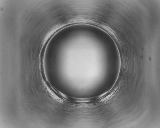 X0000059221430200510141001
