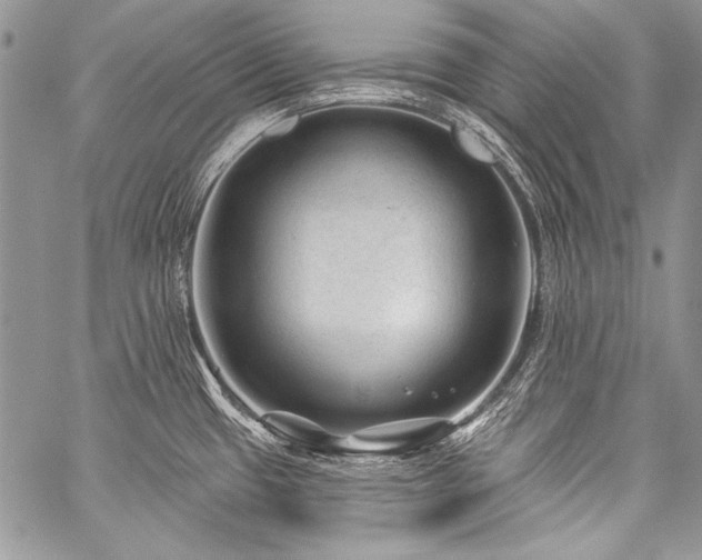 X0000059221433200510141001
