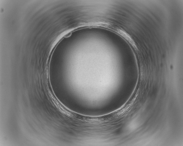 X0000059221436200510141001