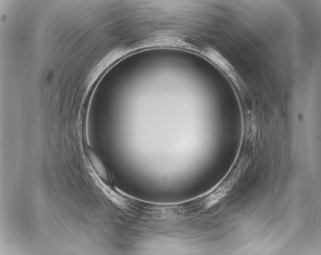 X0000059221438200510141001