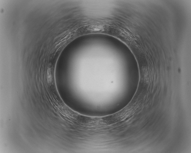 X0000059221442200510141000