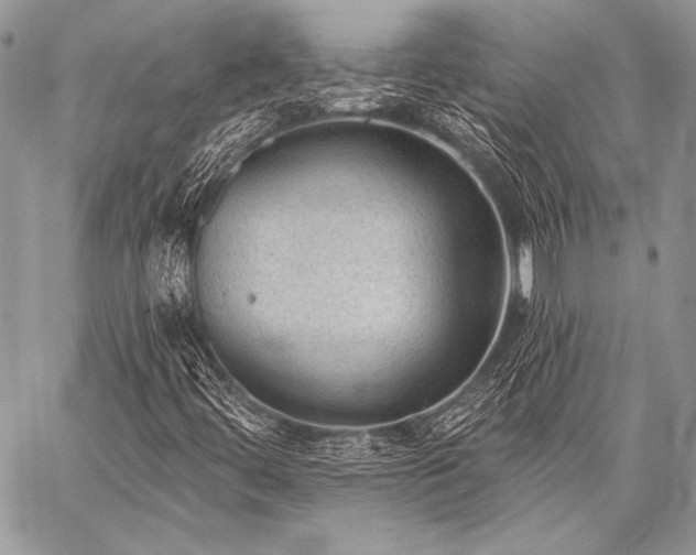 X0000059221444200510141000