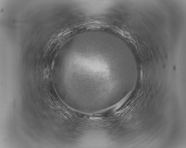 X0000059221445200510141000
