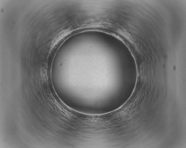 X0000059221452200510141000