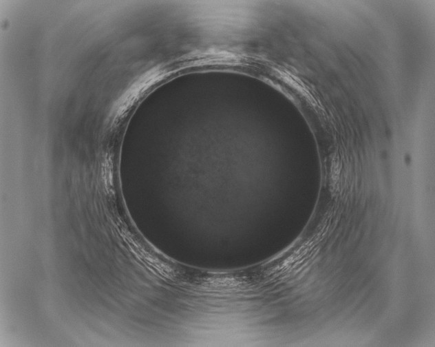 X0000059221455200510141000