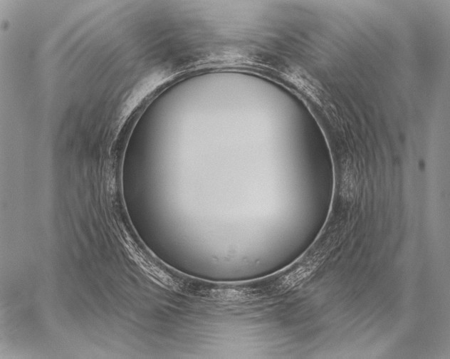 X0000059221458200510141000
