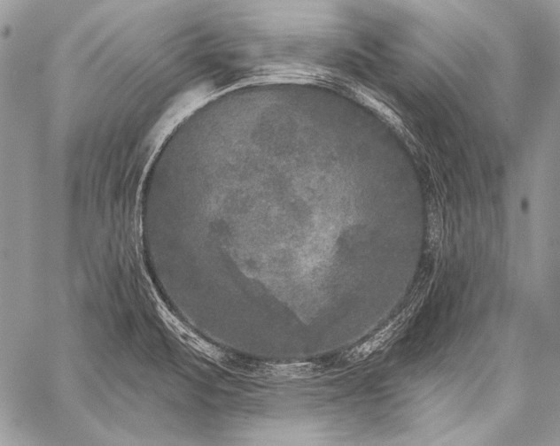 X0000059221471200510141000