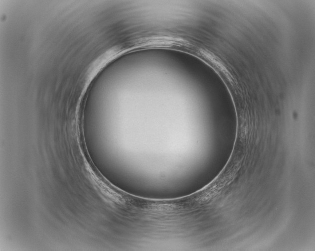 X0000059221475200510141000
