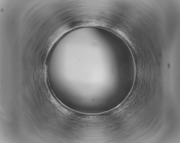 X0000059221476200510141000